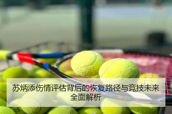 苏炳添伤情评估背后的恢复路径与竞技未来全面解析